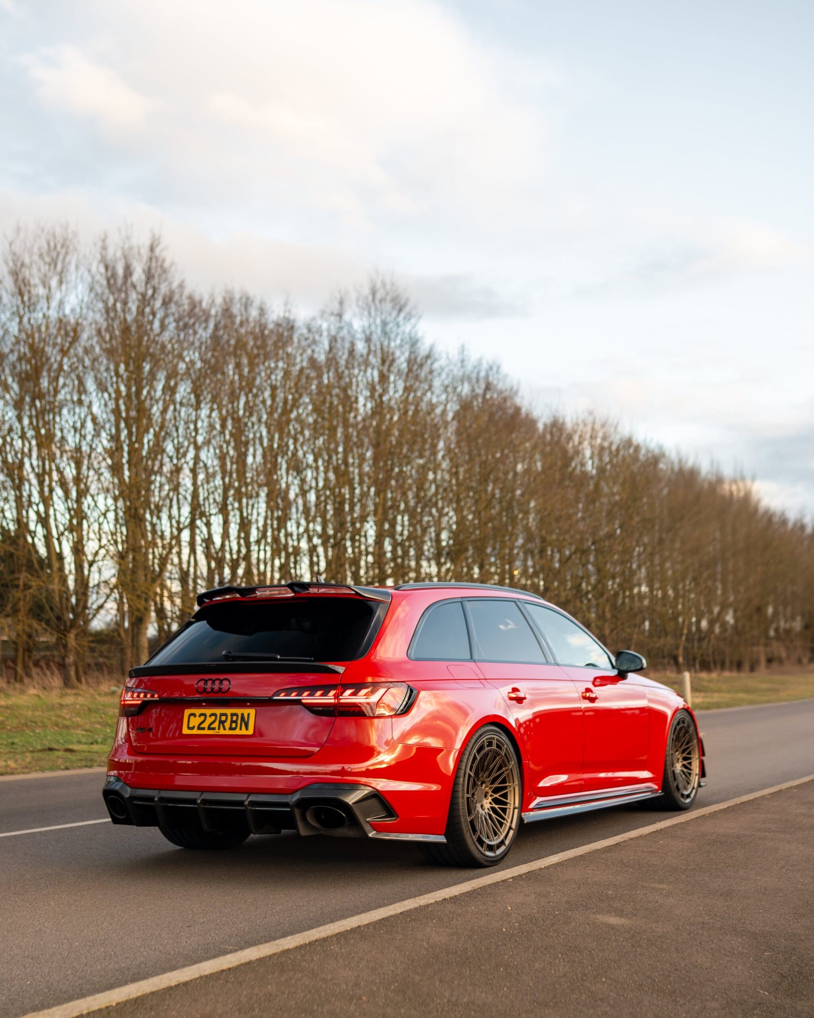 AUDI-A4S4RS4-B9-9_5-CARBON-FIBRE-MIDDLE-SPOILER-CT-DESIGN-9.jpg