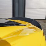 Yellow_Emira_web_CT_Carbon_250226_09.jpg