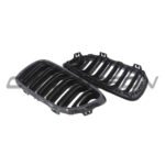 ct-carbon-splitter-bmw-m2-2-series-f87-f22-carbon-fibre-grilles-ct-carbon-bmw-m2-2-series-f87-f22-carbon-fibre-front-grill-17438350573722_e6592e6a-34e8-43a5-80a1-91bfcb66f19c_1.jpg